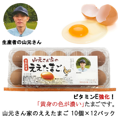 ☆● 山元さん家のええたまご 10個×12パック 卵 玉子 たまご タマゴ 41000