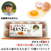 ☆● 山元さん家のええたまご 10個×12パック 卵 玉子 たまご タマゴ 41000