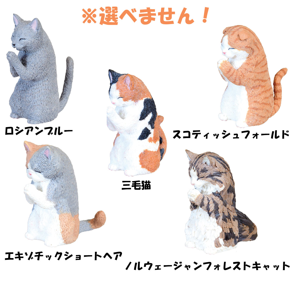 全国送料無料 フィギュア 合掌 問屋・仕入れの 卸売・ | 1個入 BOX 猫拝 匠 ホビー