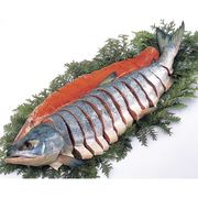 （2022 お歳暮 限定）北海道雄武産 天然新巻鮭姿造り切り身【直送品】