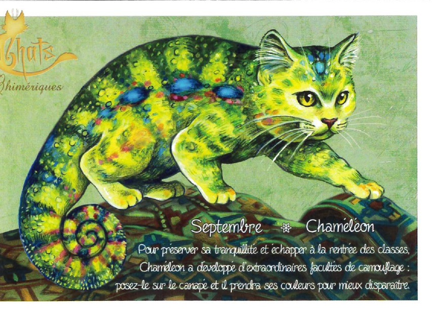 セブリーヌ 【 キャット ポストカード 】 Septembre Chameleon 9月 カメレオン 猫 ネコ