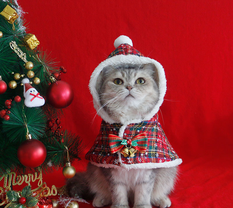 ★早者勝超可愛い ペット服クリスマス衣装★秋冬犬服 スタイリッシュかわいい 犬服 犬の猫の服 クリスマス