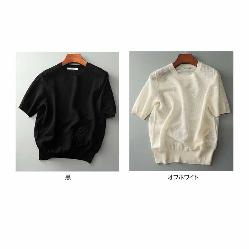 2023新作 レディース 透け感 シアー トップス Tシャツ 半袖 2023新作 レディース 透け感 シアー トップス Tシャツ 半袖