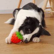 犬 おもちゃ 噛むおもちゃ 犬用 柔らかい イチゴ 知育玩具 餌入れ おやつボール ストレス解消