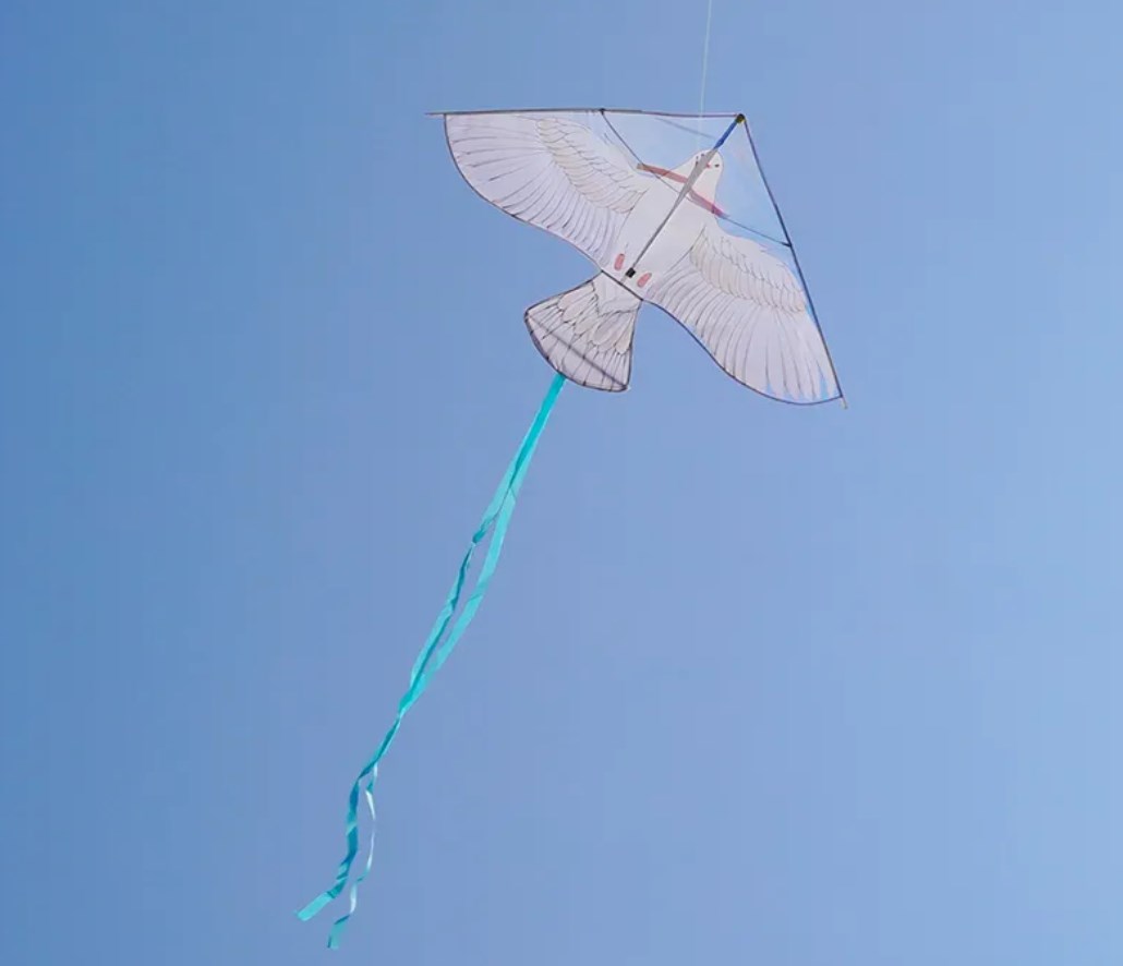 カイト   キッズおもちゃ   凧揚げ  凧   紙鳶   凧上げ   玩具