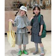 人気新品 セットアップトップス  男女兼用  韓国風子供服  キッズ服 2色