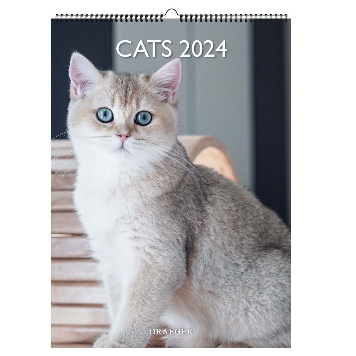 ドレジャー 2024年 ポスターカレンダー CATS 壁掛けカレンダー 猫 株式会社ユージン 問屋・仕入れ・卸・卸売の専門【仕入れならNETSEA】