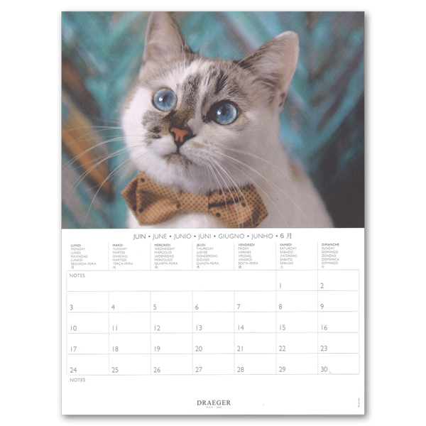 ドレジャー 2024年 ポスターカレンダー CATS 壁掛けカレンダー 猫 株式 