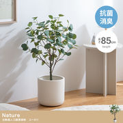 【高さ85cm】Nature 光触媒人工観葉植物　ユーカリ