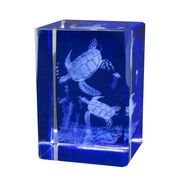 3Dクリスタル(M)　ウミガメ　ブルー