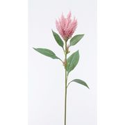 造花　ドライ　ディスプレイ　Ａ－３３６７０　アマランサス　＃００３　ピンク