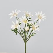 造花　ドライ　ディスプレイ　Ａ－３４３８２　フランネルフラワ　＃００１　ホワイト