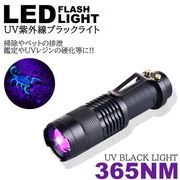 紫外線ライト LED 365nm UVライト ブラックライト　サイズ 小型　汚れ確認