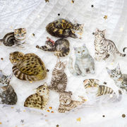 30枚 PET 猫シリーズ フレークシール コラージュ 素材 手帳用 猫ステッカー 日記ジャーナル装飾用品