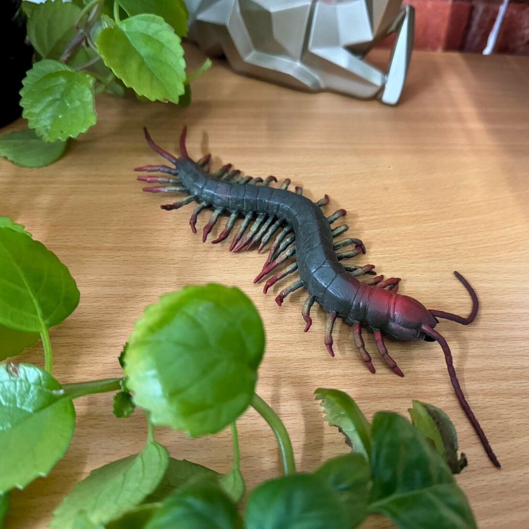 オオムカデ将軍 1個 びっくり フィギュア 置物 玩具 おもちゃ おもしろ