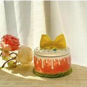 INS    収納缶  ケーキ  貯蔵タンク  収納 ピクニック  写真撮影用  誕生日  プレゼント  家庭用品