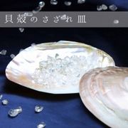 【57.真珠シェル皿】1個売り ハンドメイド 浄化 風水 パール貝 真珠貝 真珠母貝 マザーオブパール