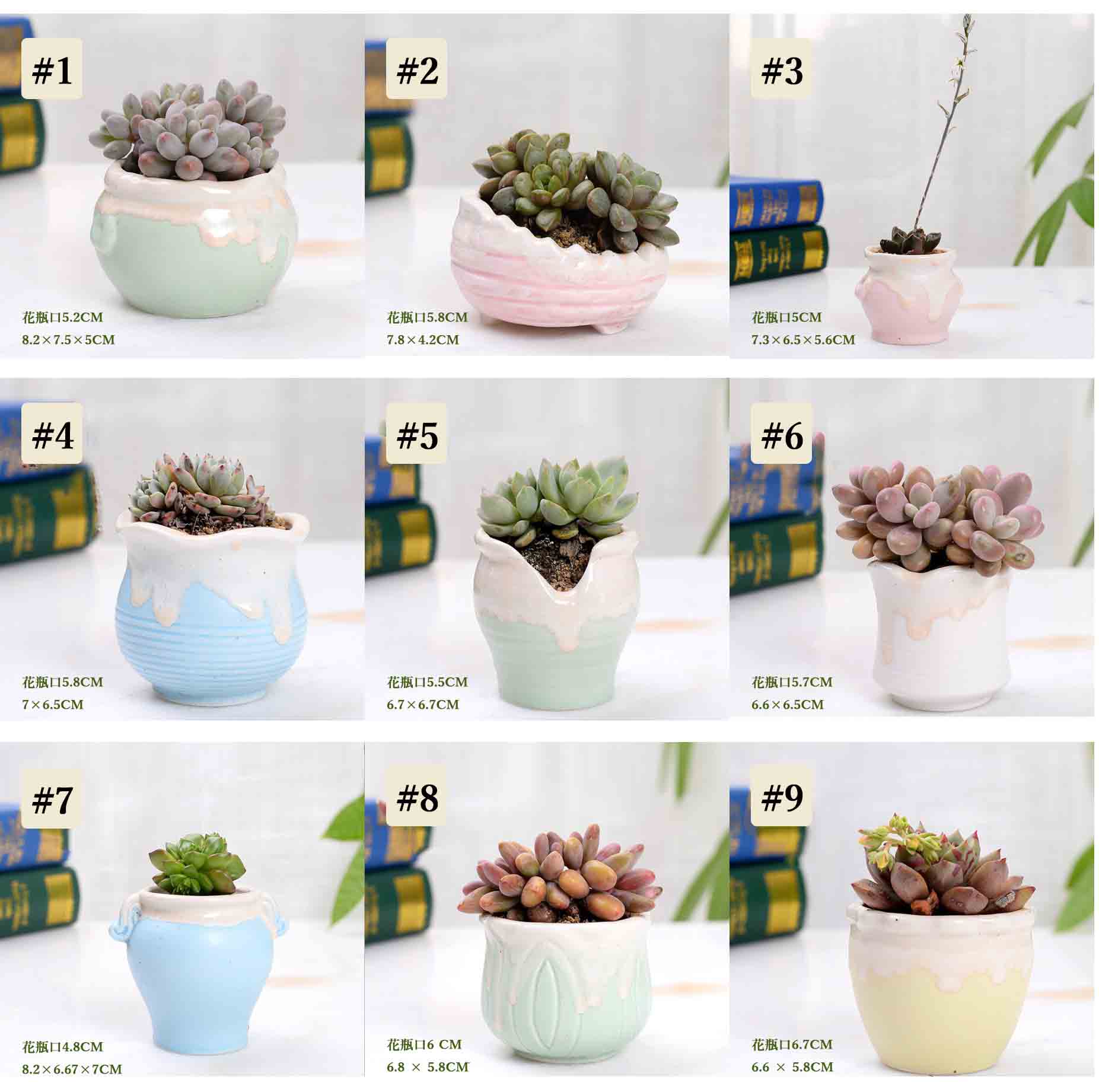 植木鉢 つぼ型 ミニ シンプル プランター 多肉植物 多肉ポット