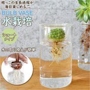 花瓶 ガラス BULB VASE バルブベース ショート KEGY4060 ガラスベース ガラス花器
