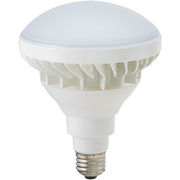 東京メタル工業 LED電球 屋外用ビームランプ 電球色 200W相当 口金E26 LDR1