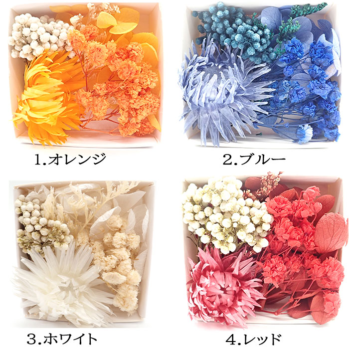 ドライフラワーパーツ 4点セット （New 10種類のナチュラル