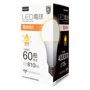 【10個セット】 HIDISC LED電球(一般電球60形相当) 電球色 HDLED60W