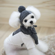韓国語版、流行のモデル、ペットの犬、帽子、スカーフスーツ、ウールのスカーフ、秋と冬の帽子