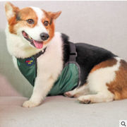 ペットエプロン、犬のエプロン、コーギー服、防水性と通気性、小型犬の保護服
