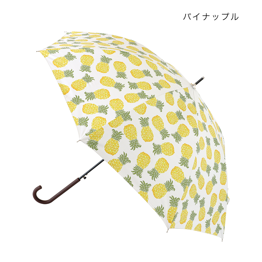 縁起物！額入り∞蛇のぬけがら 金運 幸運 シマヘビ 爬虫類