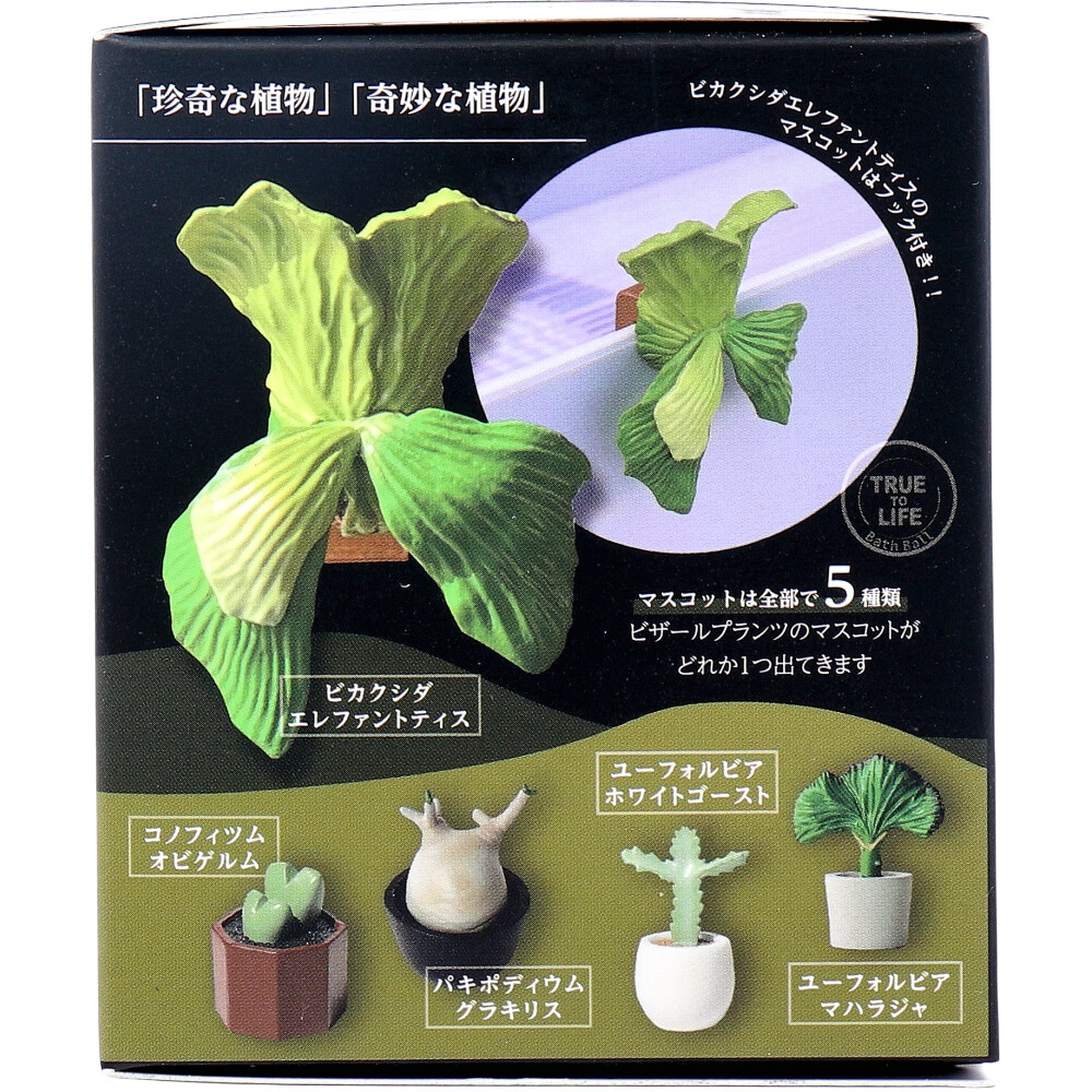 写実 ビザールプランツバスボール 広がる緑の香り 70g 1回分 | 卸売