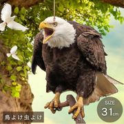 鳥よけ リアル鷲プリント 吊り下げ プレート 大きいサイズ 虫除け