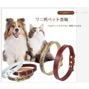 新しいペット首輪　猫首輪　犬用　ペット用品　ネコ雑貨