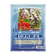 根ぐされ防止剤 600g プロトリーフ