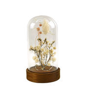 ☆ＬＥＤドライフラワードームライト　トール　アカシア