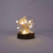 ☆ＬＥＤドライフラワードームライト　ボール　メラレウカ