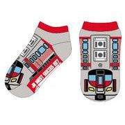 西日本シリーズ JR西日本 227系