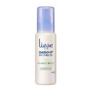 リーゼ　かっちりキープポイント用ミスト 100ｍｌ