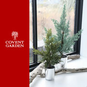 ■コベントガーデン■■2025X'mas　新作■　カプリスポットツリー　Lサイズ