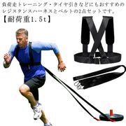 レジスタンストレーニング用ハーネス＆ベルト 2点セット レジスタンスハーネス 負荷走トレー