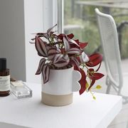 フェイクグリーンポット　鉢/植木鉢/フェイクグリーン/観葉植物