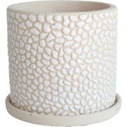 ドット・ベジュポット　鉢/植木鉢/ガーデニング/花/園芸/植物