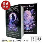 【特典 オラクルカード付き】 オラクルカード ビーストソウル Beast_Soul 魂の道標 57枚 DivinaVellum 占い