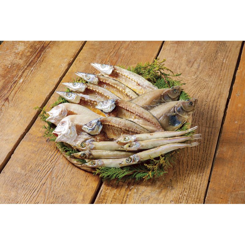 山陰海鮮一夜干しセット 6366-50【直送品】 送料無料