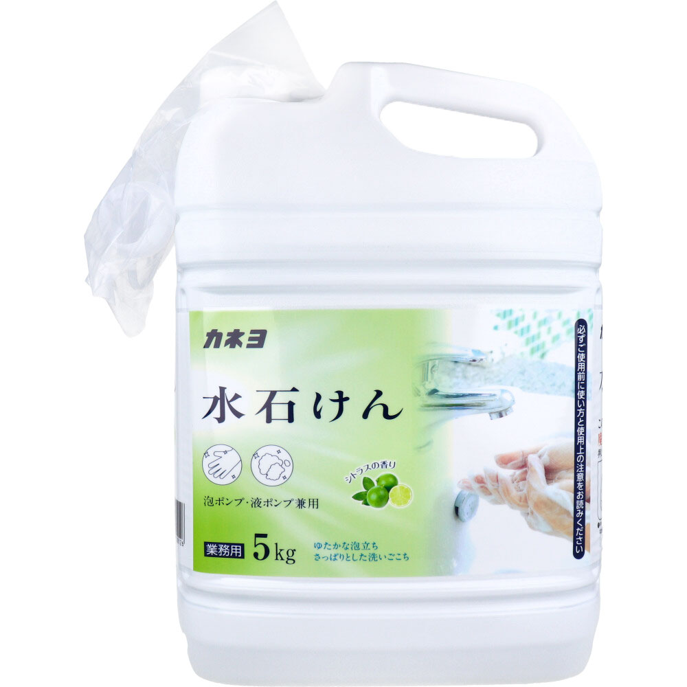 [7月27日まで特価]【業務用】水石けん 泡ポンプ・液ポンプ兼用 シトラスの香り 5kg
