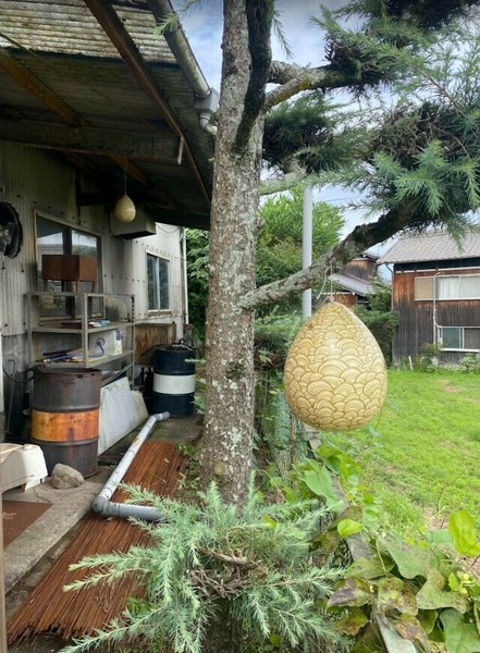 ハチ　他の方は御遠慮下さい maxresdefault.jpg?sqp=-