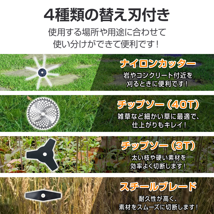 楽天市場】チモシー（総重量（g）800 ～ 899g）の通販
