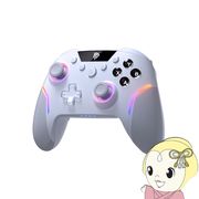 コントローラー Nintendo Switch対応 6軸ジャイロセンサー搭載 背面ボタン 2.4GHzワイヤレス Bluetooth