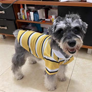 犬用イエローストライプシャツ、ペット服、猫と犬のシャツ、ペット用品、犬用服、犬用トップス