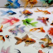 50枚入り   金魚ステッカー　手帳素材 　防水シール　海洋動物  金魚ステッカーパック　金魚雑貨