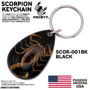 USA ARIZONA SCORPION DROP KEYCHAIN　スコーピオン　キーホルダー　アメリカン雑貨　お守り